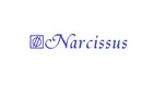Narcissus